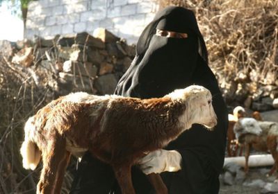 البرنامج السعودي يكشف برامج إرشاد لمربيات الثروة الحيوانية