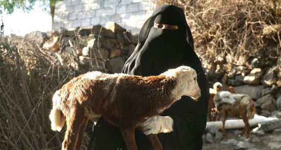 البرنامج السعودي يكشف برامج إرشاد لمربيات الثروة الحيوانية