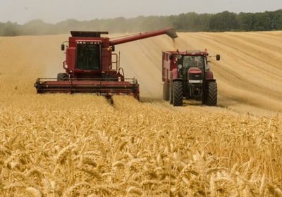 أوكرانيا تعلق تصدير سلع زراعية حيوية