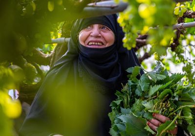 "الإنمائي": المرأة الريفية قوة فعالة ببناء قدرات الأسر