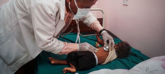 غريسلي: تدهور معدلات الأمن الغذائي في اليمن