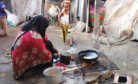 البيان: مليشيا الحوثي تهجر سكان 4 قرى بالحديدة