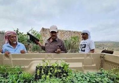 خليفة الإنسانية توزع 10 آلاف شتلة زراعية بسقطرى