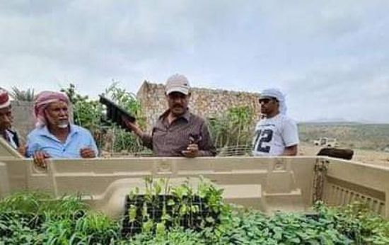 خليفة الإنسانية توزع 10 آلاف شتلة زراعية بسقطرى