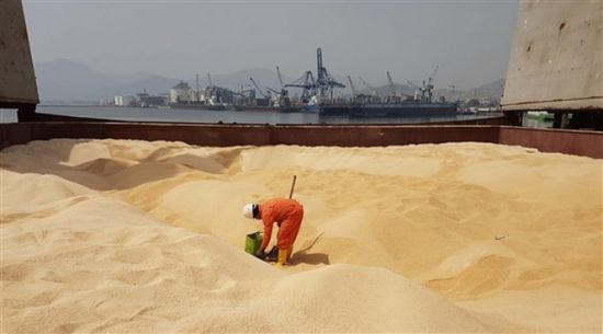 اختفاء خمس سفن محملة بالقمح من ميناء أوكراني