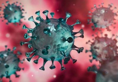 حالة شفاء من كورونا في وادي حضرموت