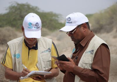 "فاو" تواصل رصد انتشار الجراد الصحراوي