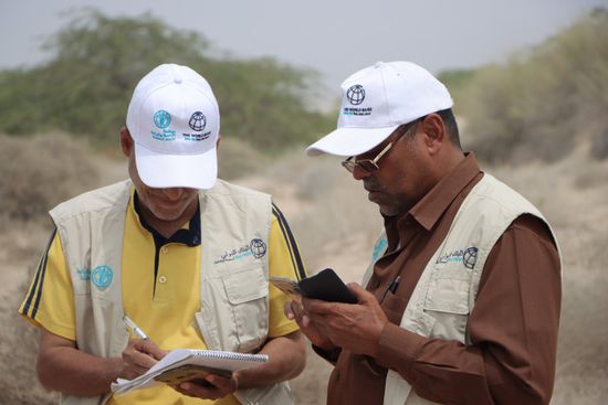 "فاو" تواصل رصد انتشار الجراد الصحراوي