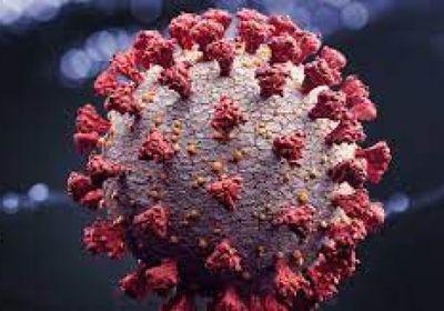 استقرار إصابات كورونا التراكمية عند 11806 حالات