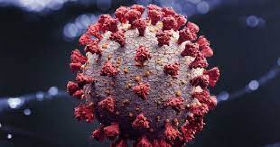 استقرار إصابات كورونا التراكمية عند 11806 حالات