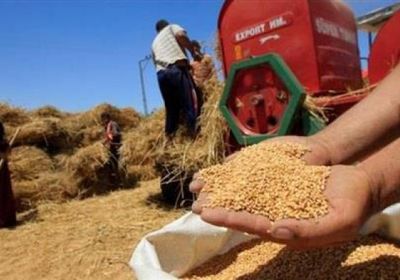قرار حكومي عاجل في مصر لتأمين احتياطات القمح