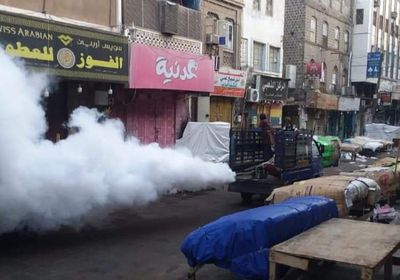 رش ضبابي لمكافحة ناقلات الأمراض في صيرة
