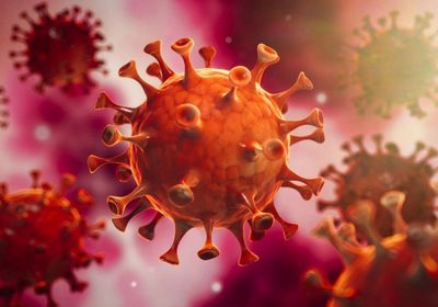 رصد إصابة جديدة بفيروس كورونا في مأرب