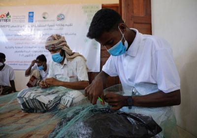 الإنمائي: تدريب 509 شباب على إنشاء المشاريع