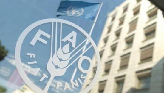 فاو: كورونا كابوس يهدد الصيادين في اليمن
