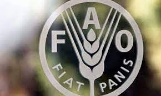 فاو: المدارس الحقلية تعزز خبرات أصحاب الحيازات الصغيرة