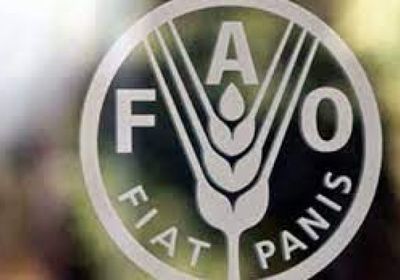 "فاو": رفع وعي المزارعين في المناطق النائية باليمن