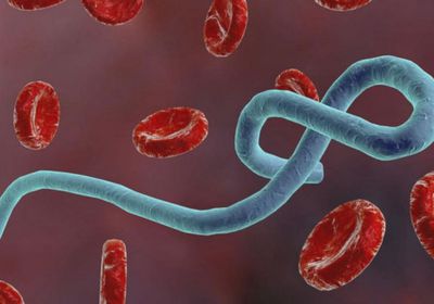 تفشي فيروس إيبولا مجدداً في الكونغو الديمقراطية