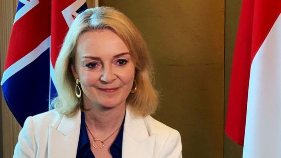 بريطانيا تؤكد تحرير مواطنها من قبضة الحوثي