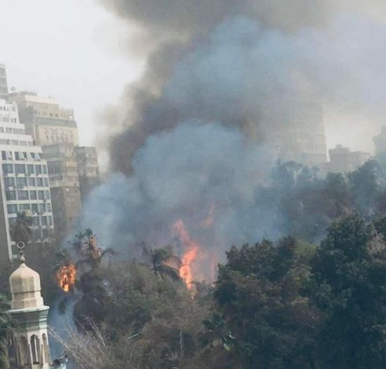 حريق حديقة الأورمان بمصر.. الأسباب والتفاصيل