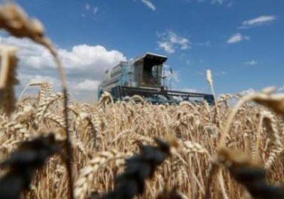 بريطانيا: انخفاض إمدادات الحبوب الأوكرانية سيحدث ضغوطًا