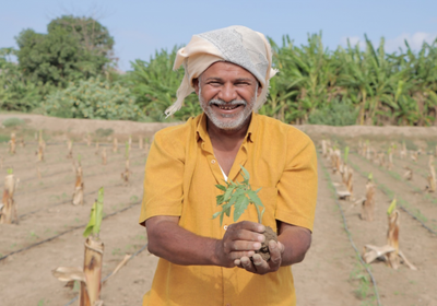 90 % من الأغذية في اليمن "مستوردة"