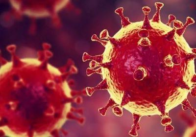 إحصائية صفرية لمستجدات فيروس كورونا