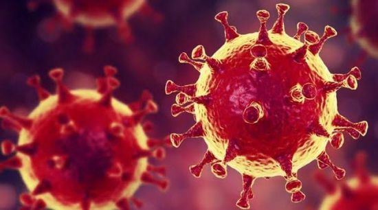 إحصائية صفرية لمستجدات فيروس كورونا