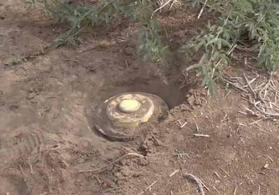 مصرع شخص في انفجار لغم حوثي بالدريهمي