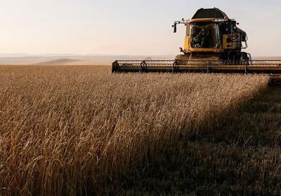 اتهام روسيا بسرقة الحبوب من أوكرانيا