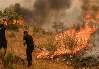 قبل الكارثة.. نيو مكسيكو تسارع للقضاء على حرائق الغابات