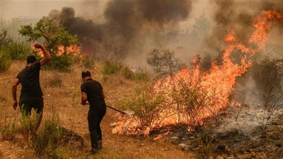 قبل الكارثة.. نيو مكسيكو تسارع للقضاء على حرائق الغابات