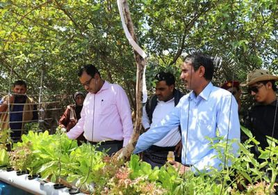 السقطري يزور موقع زراعة الخضروات بنظام الهيدروبونك