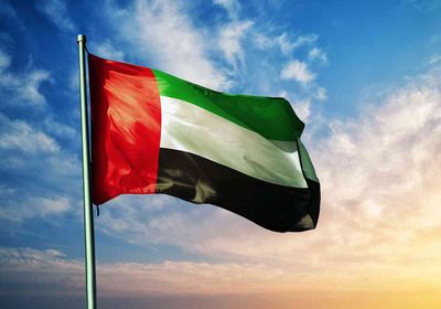 وزير الخارجية الإماراتي يدين بشدة الهجوم الإرهابي في شمال سيناء