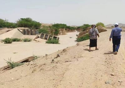 وفد الزراعة يتفقد مناطق متضررة من السيول في أحور