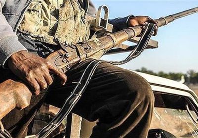 النيجر تقتل 40 إرهابيًا من بوكو حرام الإرهابية