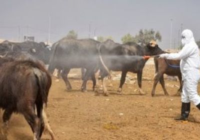 111 حالة إصابة بالحمى النزفية بالعراق