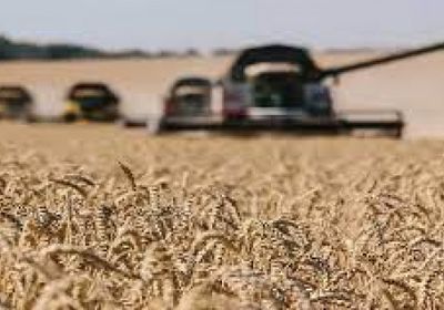 أوكرانيا تدرس تصدير الحبوب عبر ممر آمن