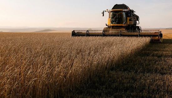 إيطاليا: دعم جهود الأمم المتحدة بشأن القمح الأوكراني