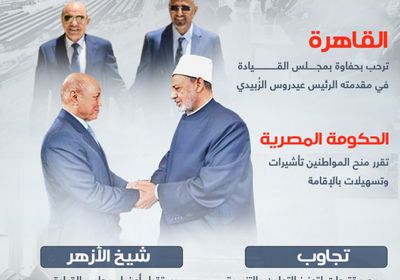احتفاء مصري بـ "الرئاسي" (إنفوجراف)