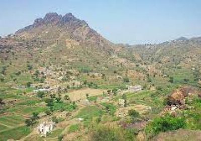 وفاة 3 شباب اختناقا بانبعاثات محرك شفط مياه في الضالع