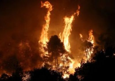 حريق هائل بغابات جزيرة إيفيا باليونان