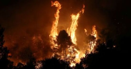 حريق هائل بغابات جزيرة إيفيا باليونان