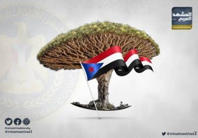 في ذكرى تحريرها.. سقطرى تحتفل بعامين من الاستقرار