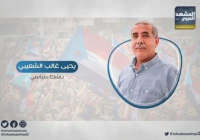 غالب: محاولات تمزيق الجنوب لن تحقق السلام