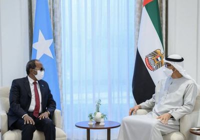 قرقاش يعلق على لقاء رئيس الإمارات مع نظيره الصومالي 