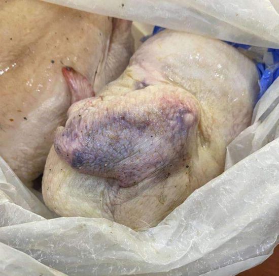 رفض دخول شحنة دجاج فاسدة بميناء عدن