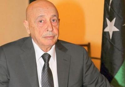 عقيلة صالح يبحث مع نواب ليبيين أوضاع المنطقة