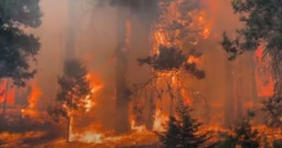 حرائق الغابات تهدد ألبانيا 