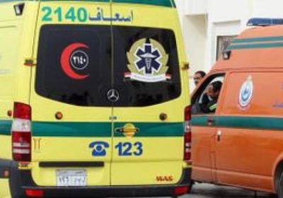 مأساة.. مصرع 9 سودانيين في حادث سير بمصر